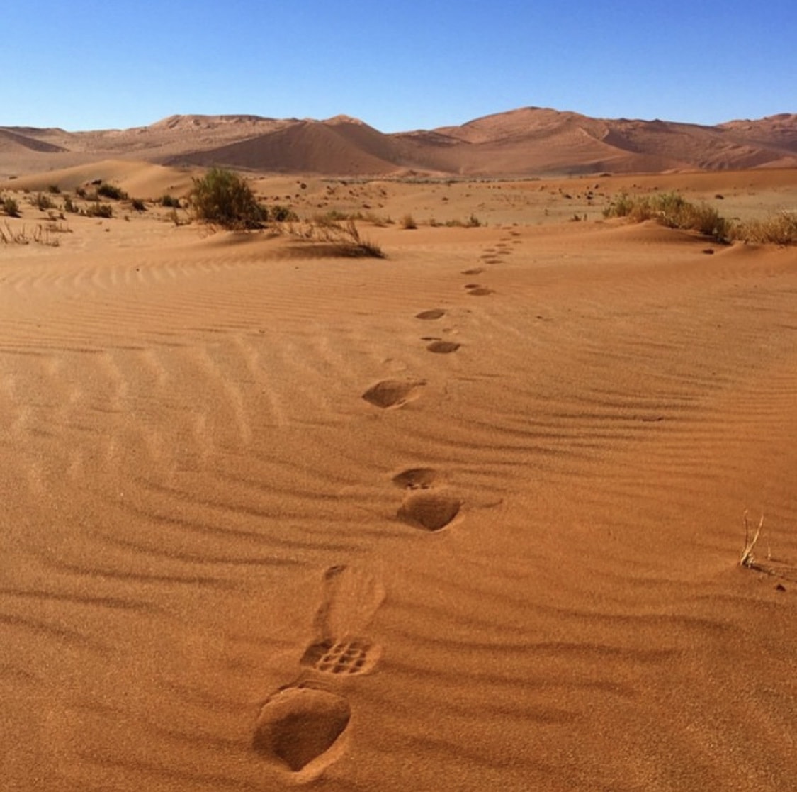 voyage en Namibie