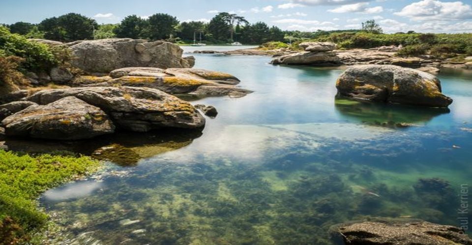 Les bienfaits de la nature