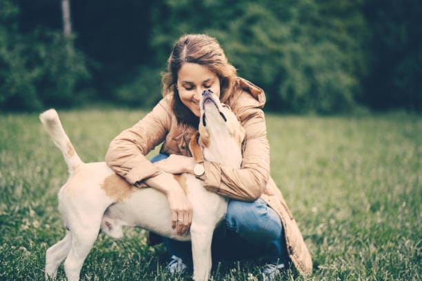 La puissance des animaux sur le bien-être