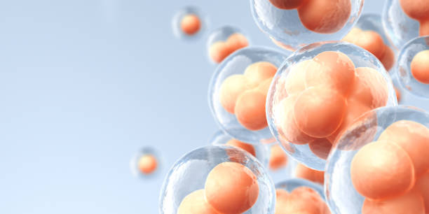 Tips pour booster son immunité !